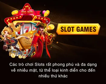 Hình ảnh đại diện cho các tổ chức hỗ trợ bên ngoài